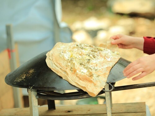 טרקטורוני נוף הורדים